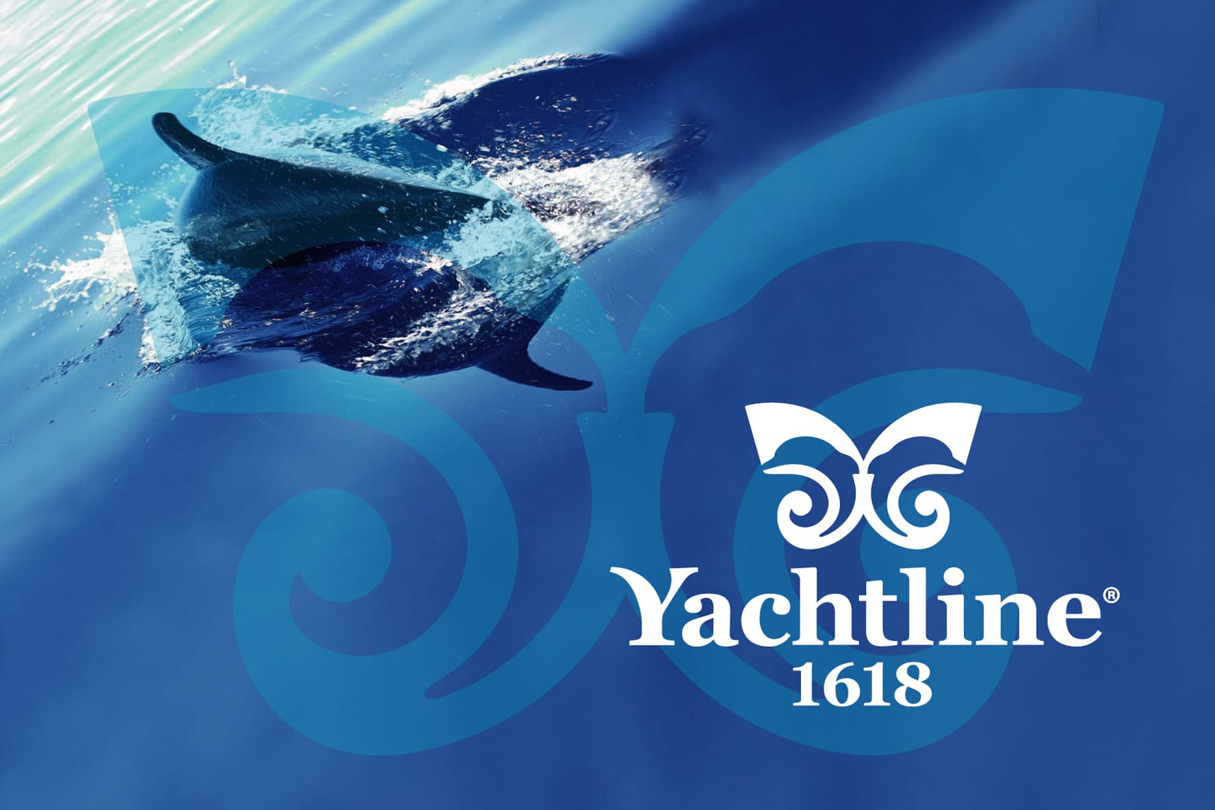 delfino-Yachtline1618