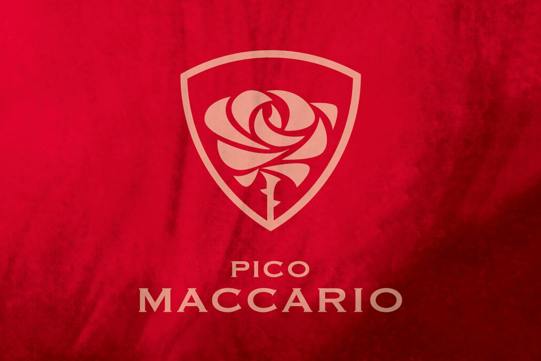 PicoMaccario-Logogenesi