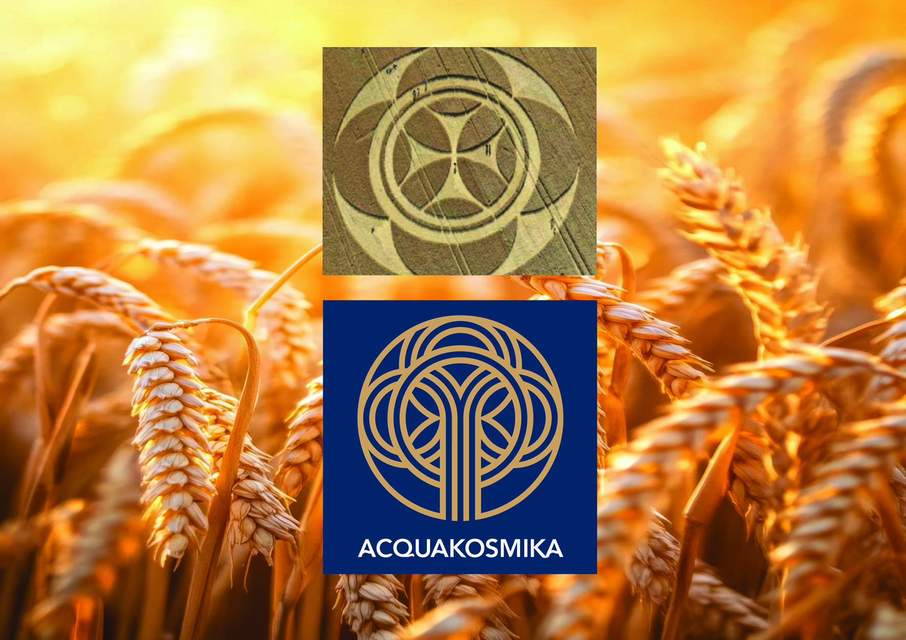 Logogenesi Acquakosmika Cerchi nel grano