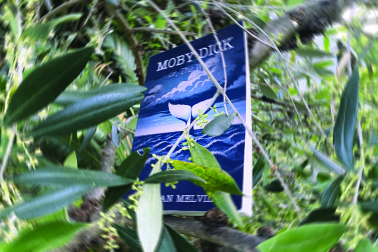 Moby Dick tra gli olivi